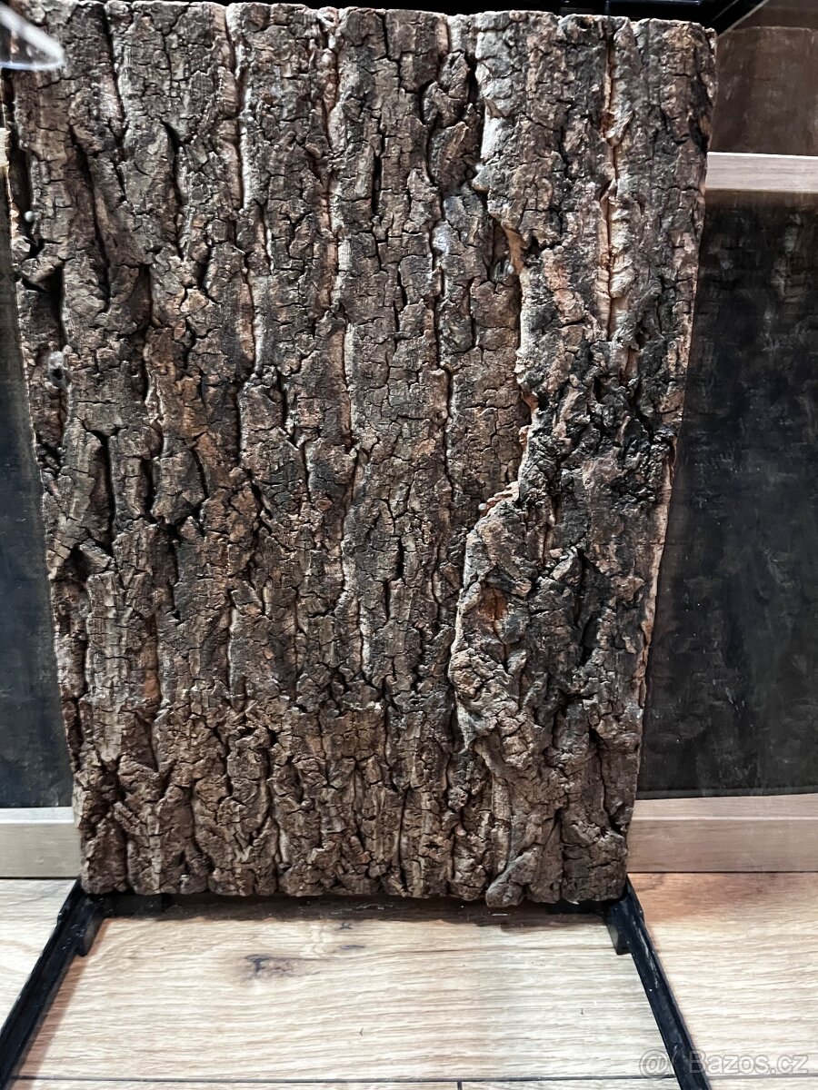 Terárium repti planet - 7