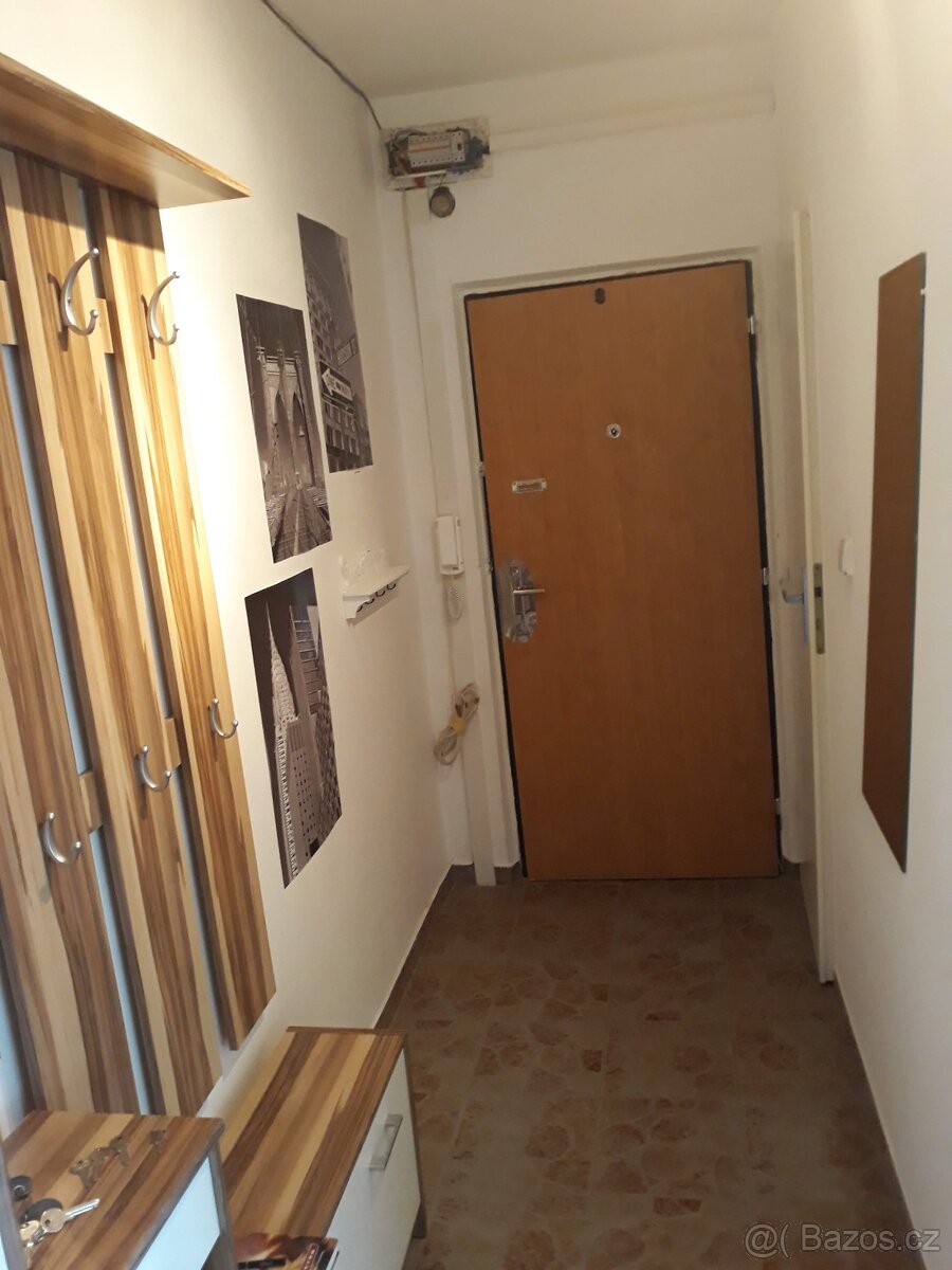 Pronájem bytu 2+1 s lodžií - 7