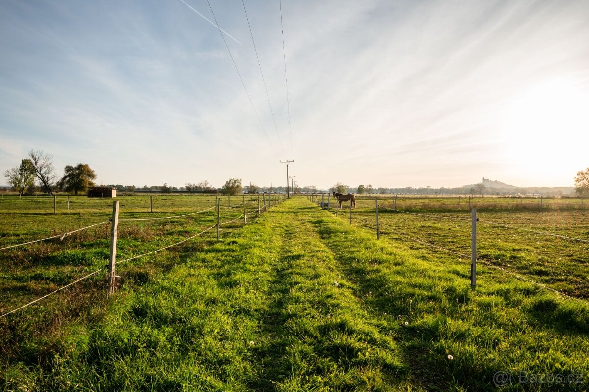 Pastevní ustájení - 7