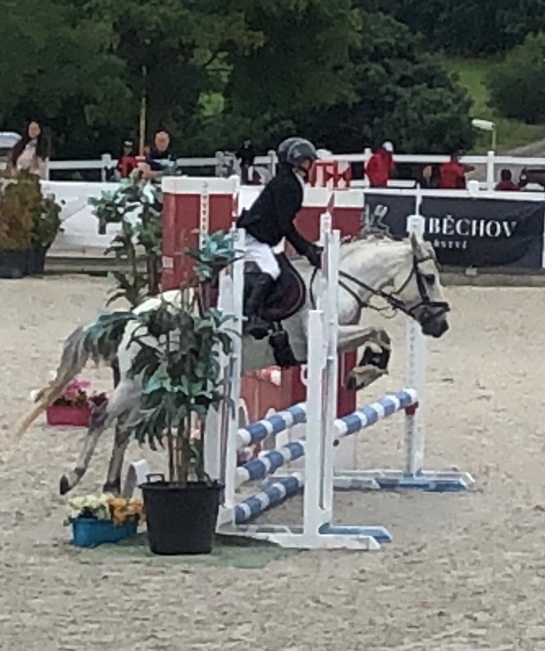 TOP pony na prodej - 7