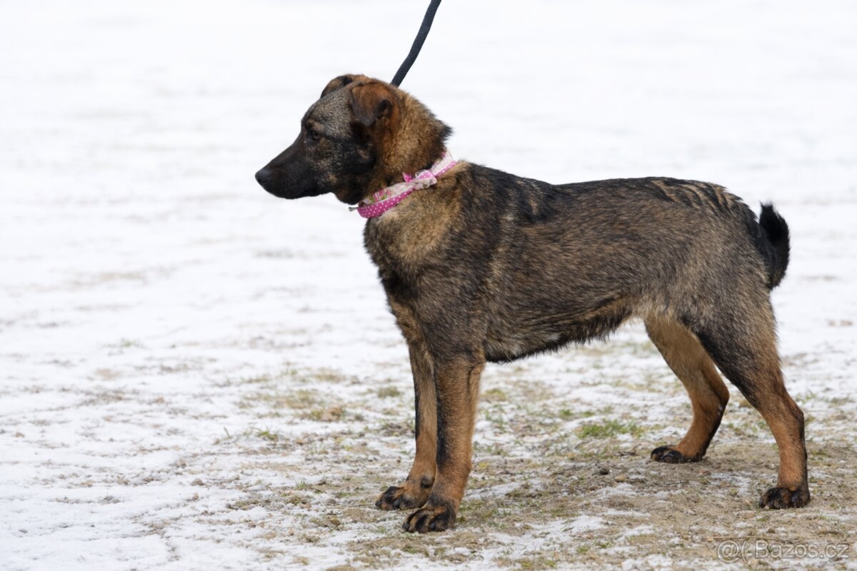 Jasabell rozkošne stenatko - 7