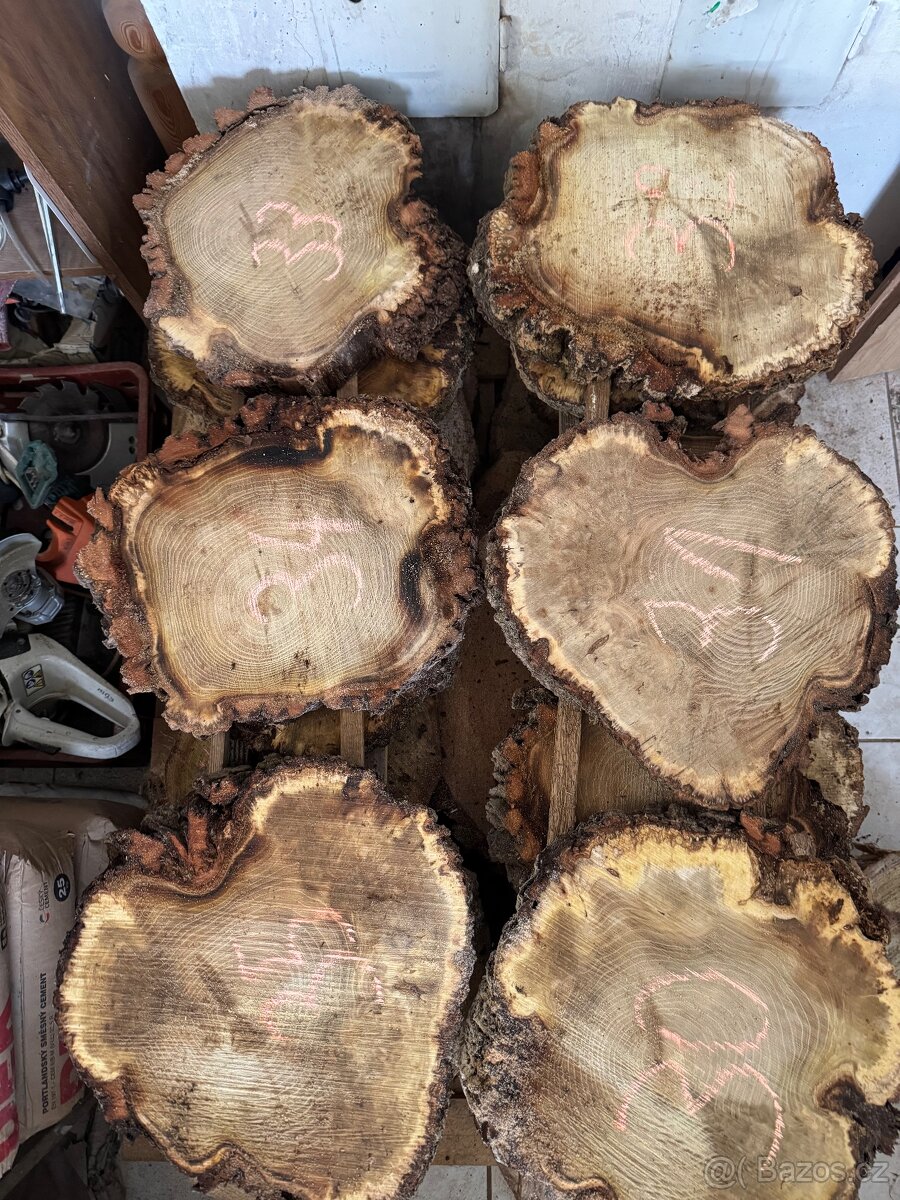 Akátové / jasanové Koláče , příčné rezy - 7