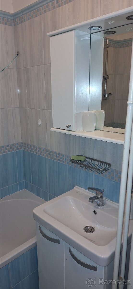 Pronajmu byt 3+1 v Podivíně - 7