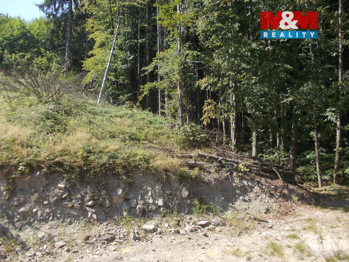 Prodej stavebního pozemku, 3955 m², Pstruží - 7