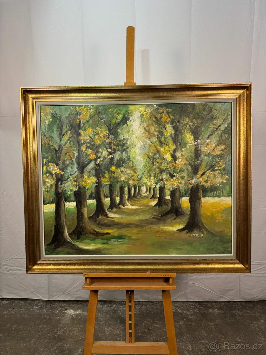 Olejomalba - aleje stromů (521013) - 7