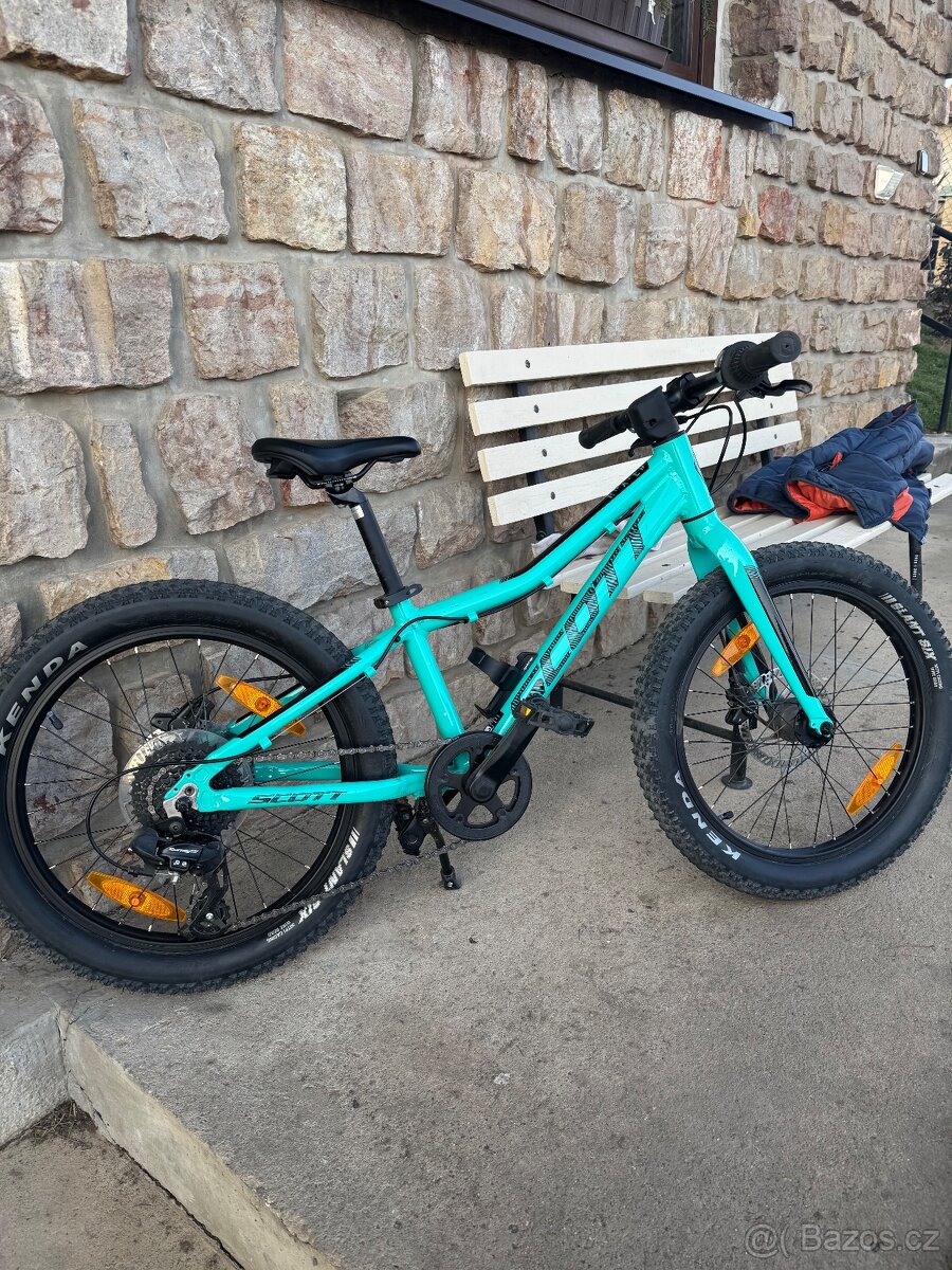 Scott Roxter 20” - 7