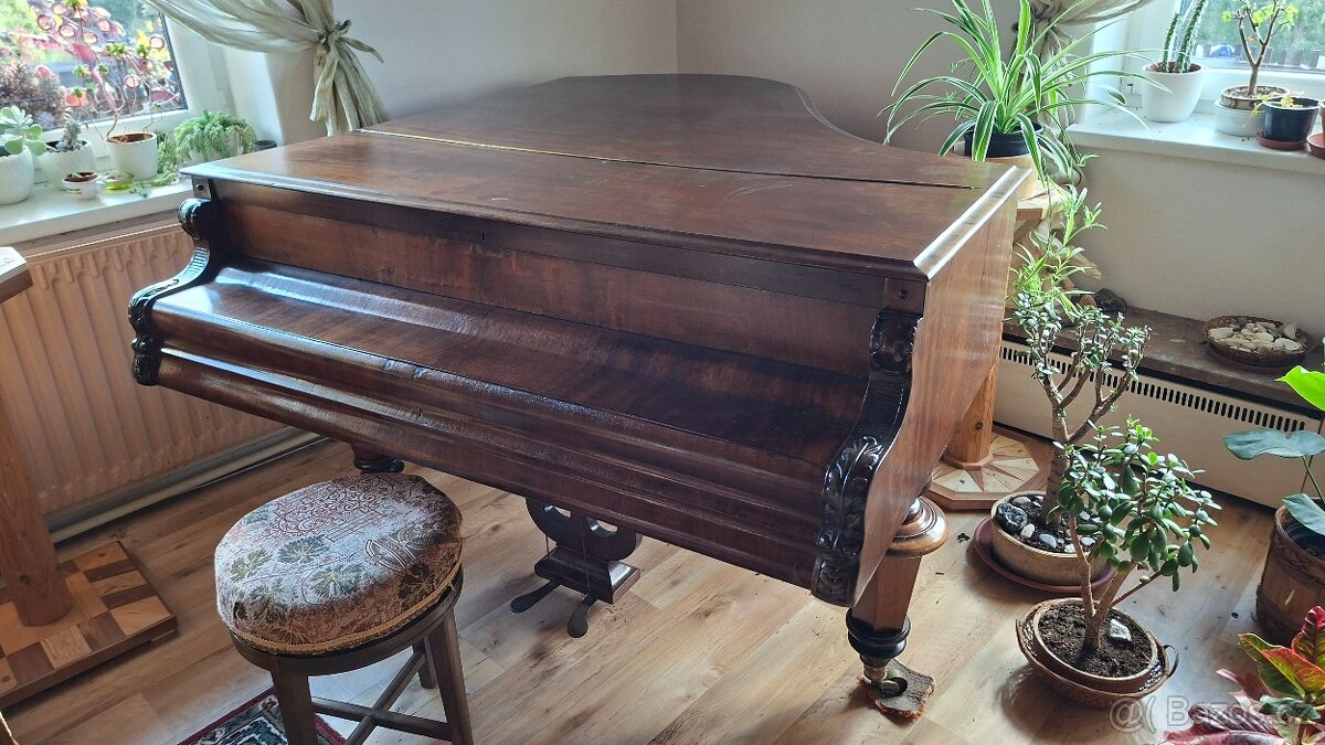 Klavír- křídlo - 7