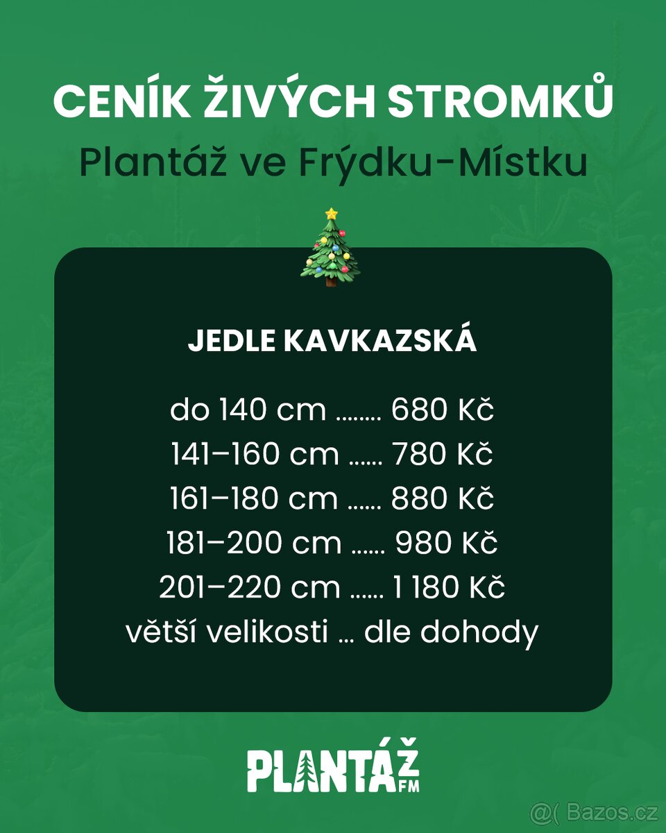 Vánoční stromky přímo z plantáže F-M - 7