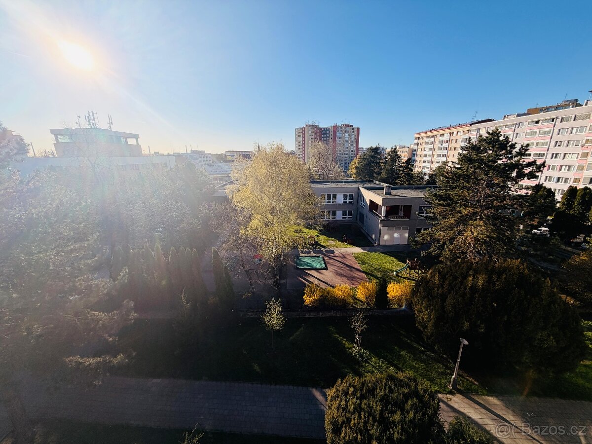 Prodej bytu 1+1 Svisle, Přerov - 7