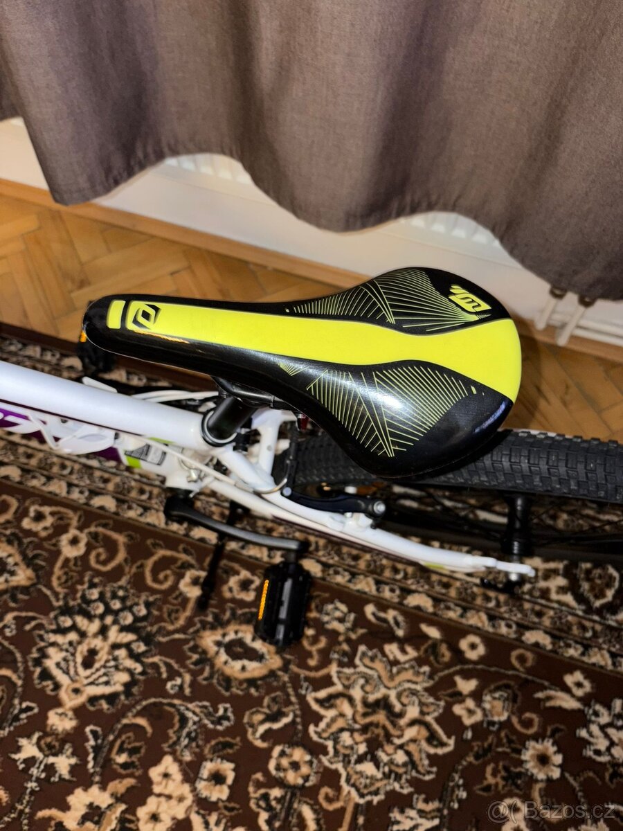 Scott Contessa - 7