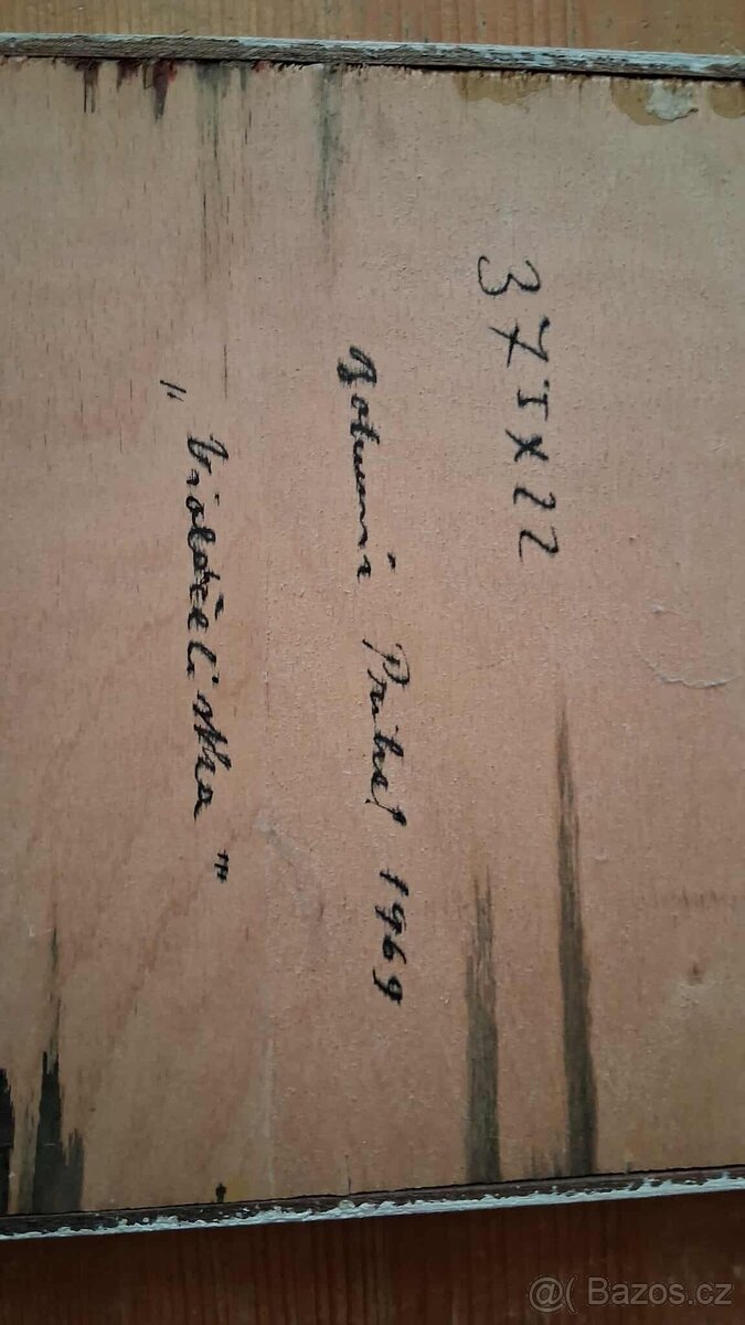 Bohumír Prihel - Violončelistka - 7