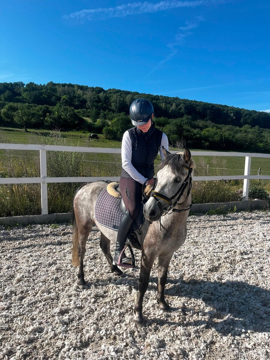4 letý pony - 7