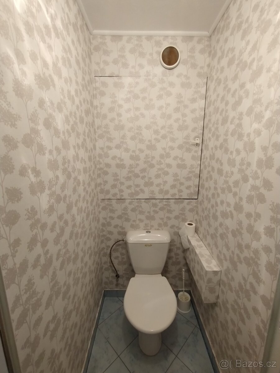 Pronájem bytu 2+1 s balkonem - 7