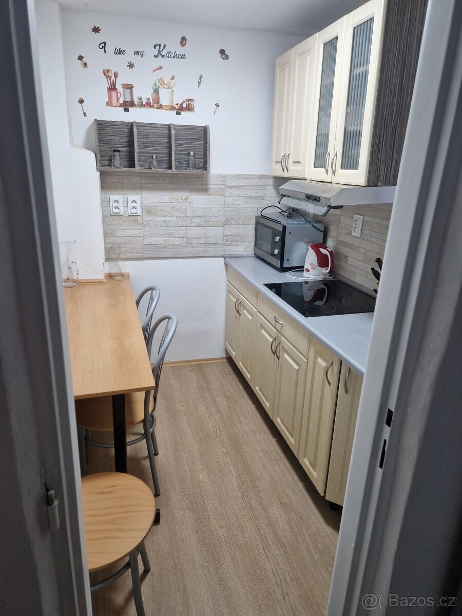 Rodinny dum 11 luzek na pronajem - Bilina - 7