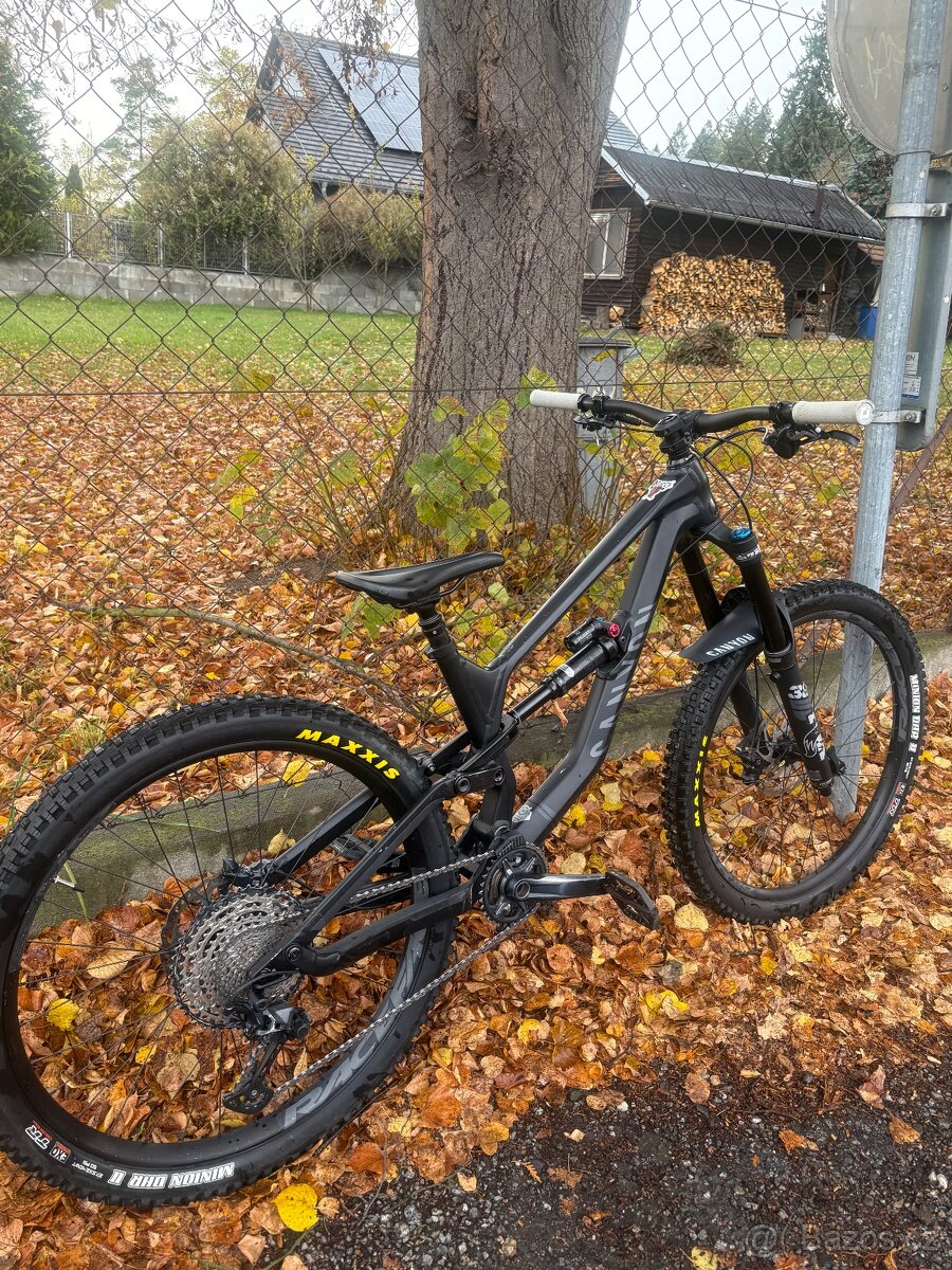 CANYON TORQUE 2021 - 7