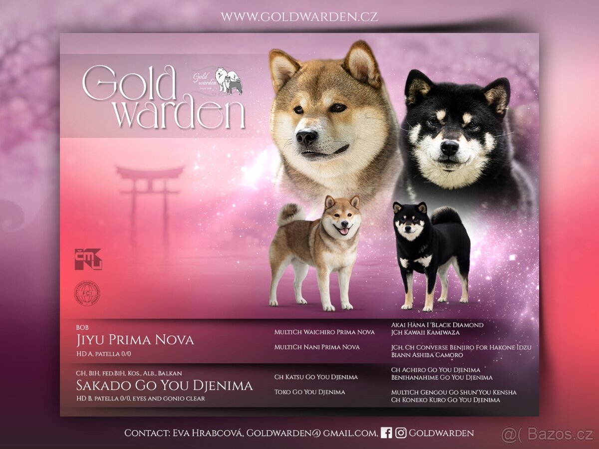 Shiba s PP - 7