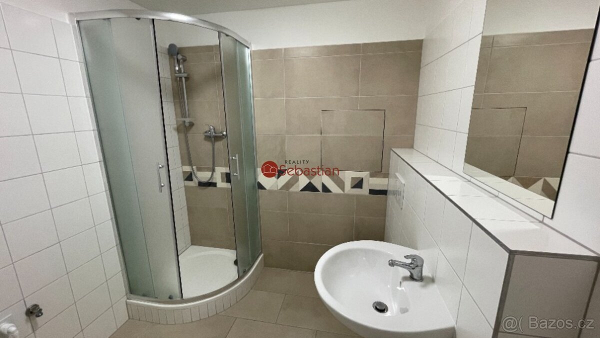 Pronájem bytu 2+1 v ulici A.Sochora v Teplicích (703) - 7