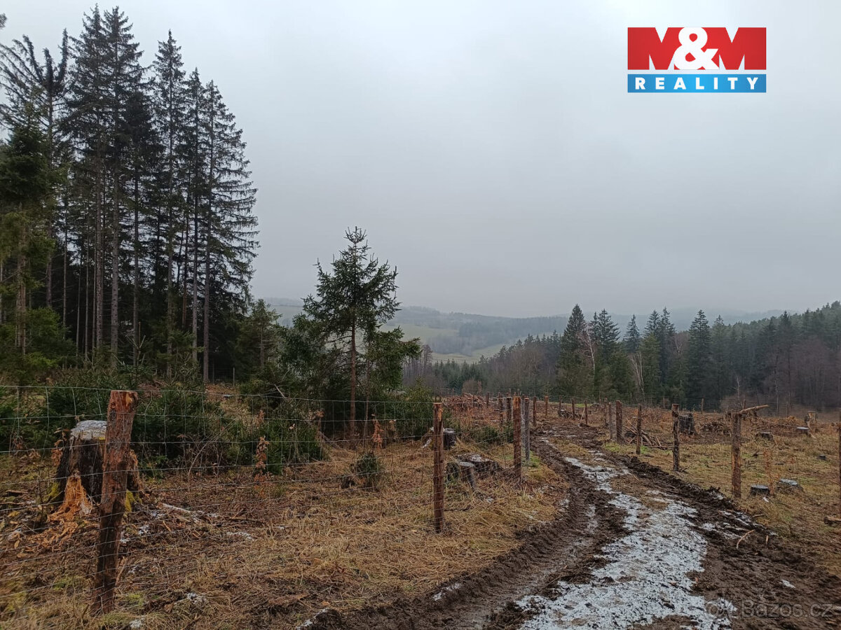 Prodej lesa, 37567 m², Vacovice - 7