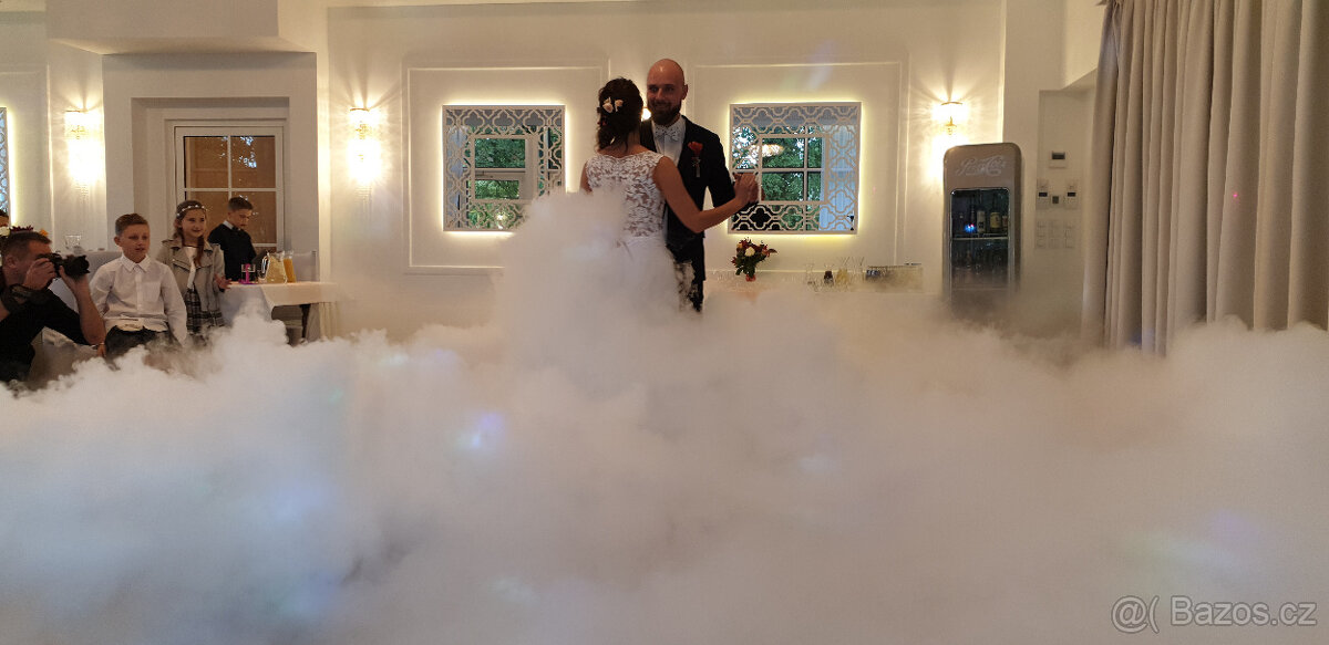 Dj a zpěvačka na svatbu - 7