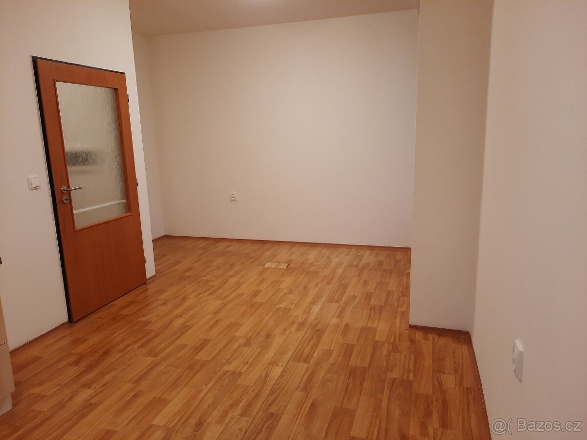 Pronájem bytu 1+KK - 7