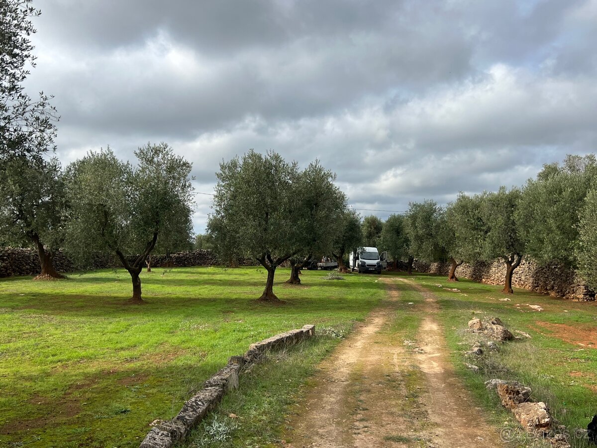 Pozemek 10.000m2 u moře🇮🇹 - 7