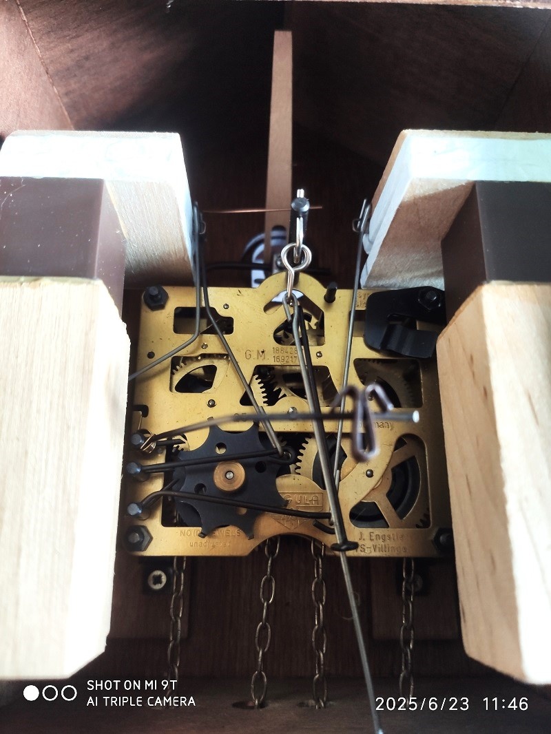 Hezke, kukacky, Schwarzwald - 7