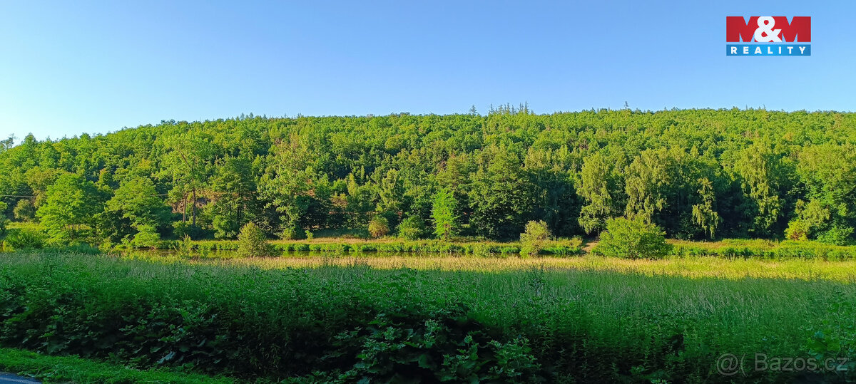 Prodej louky, 1665 m², Nižbor - 7