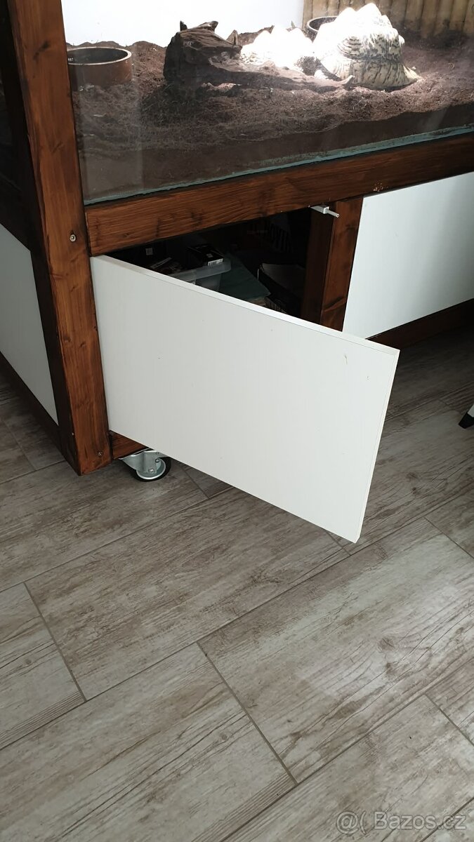 Suchozemské pardálí želvy - 7