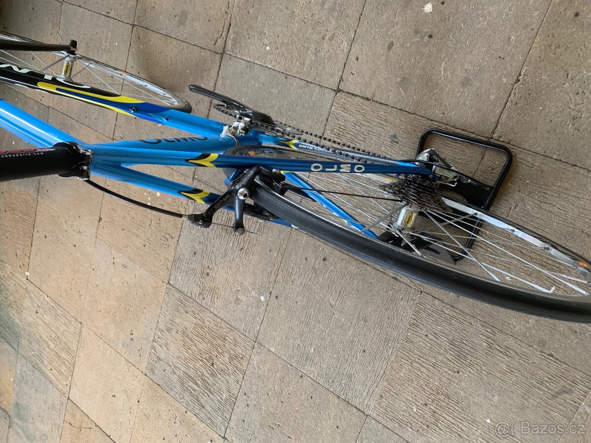 Olmo - 7