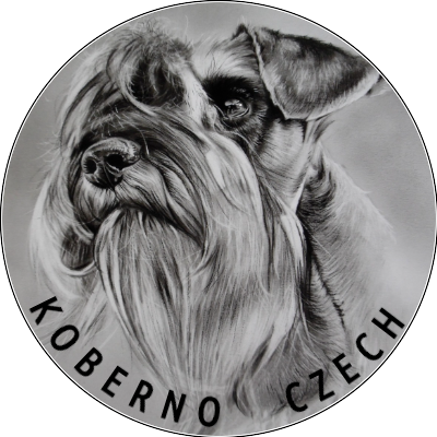 Knírač malý pepř a sůl s PP - 7