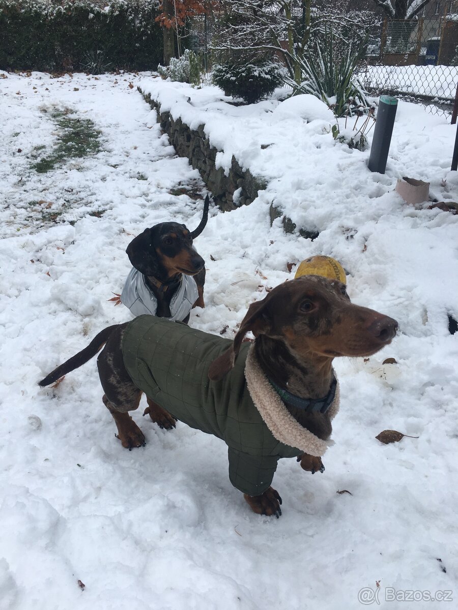 Jezečík ke krytí - 7