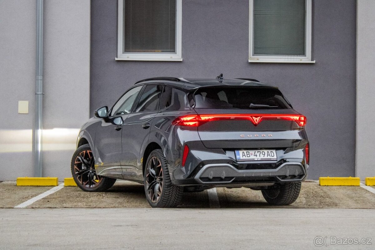 Cupra Terramar 2,0 TSI 4Drive - 7