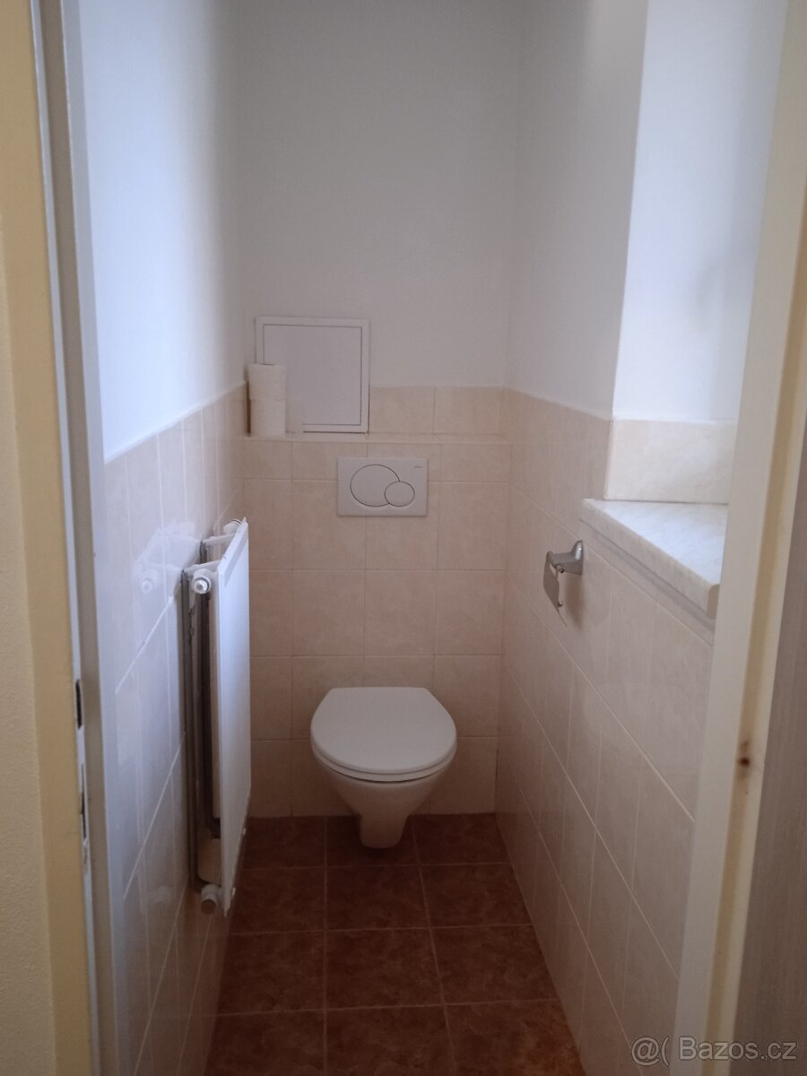 Pronajmu 2+1 - 7