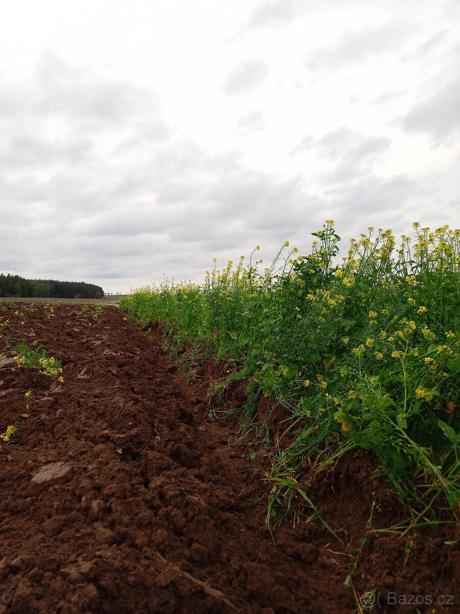 Zemědělská půda - 7