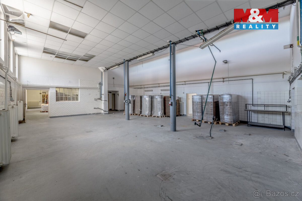Prodej výrobního objektu, Kostelec nad Labem, ul. K Labi - 7