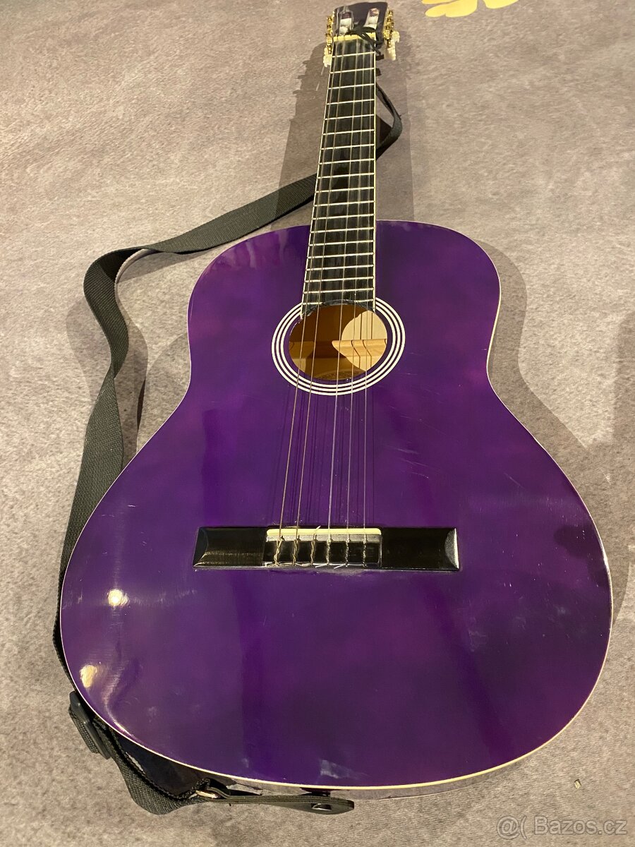 Kytara ashton - 7