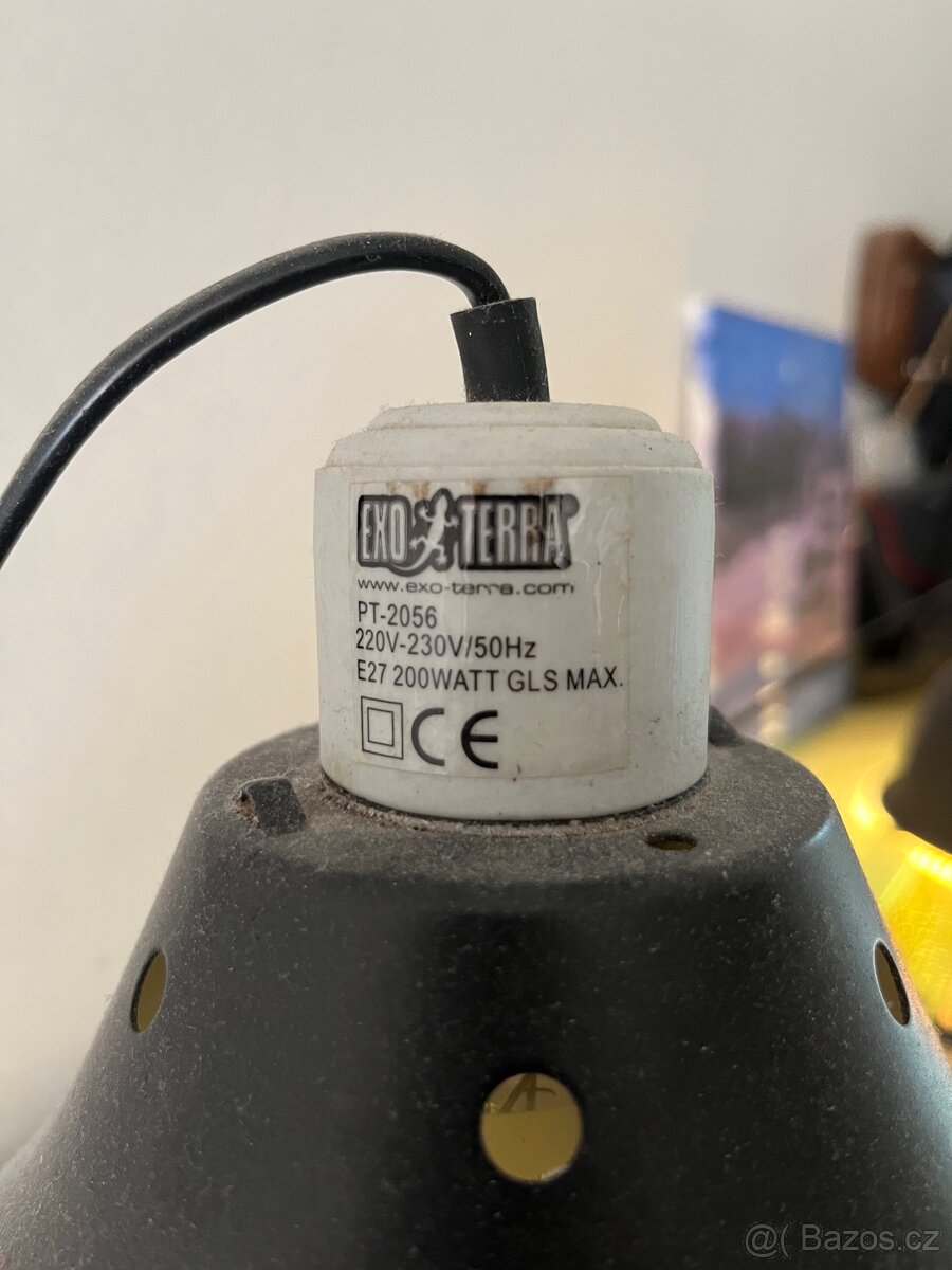 CHAMELEONI JEMENSKÝ HOLKA/KLUK + TERÁRIUM - 7