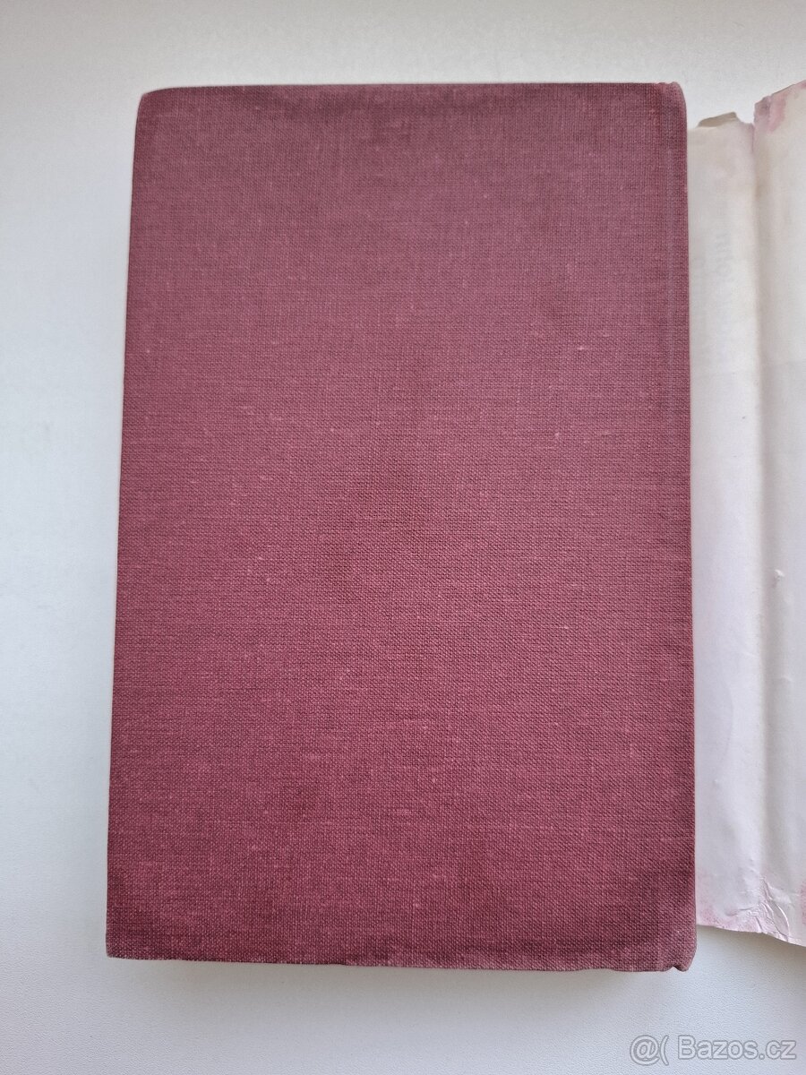 Kniha Radek John Memento - 7