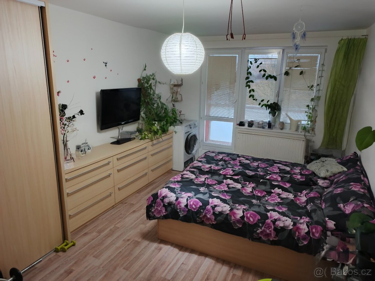 Prodám byt 3+1 s balkónem, převod do osobního vlastnictví - 7