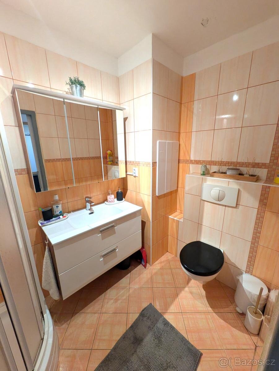 Prodej bytu 2+1 v ulici M. G. Dobnera 2557/5 v Mostě - 7