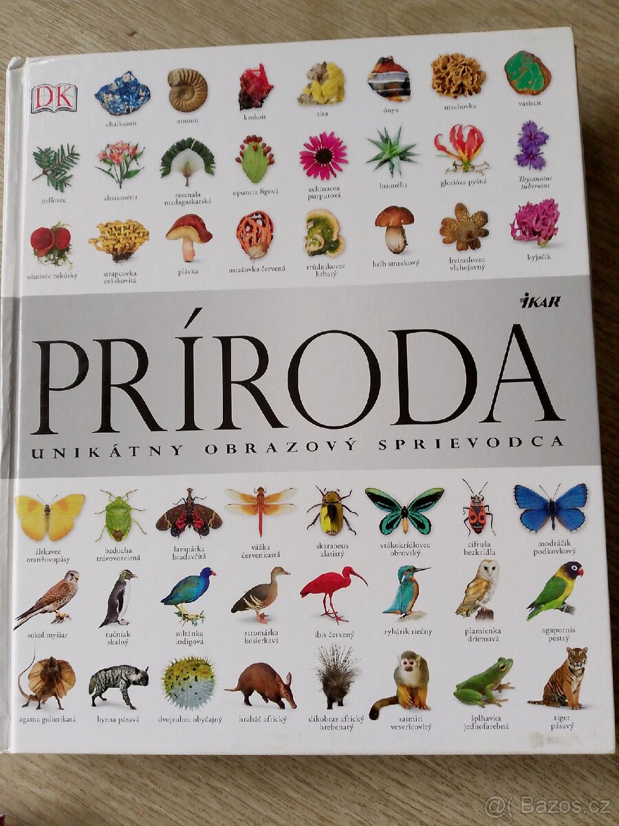 Literatúra factu - 7