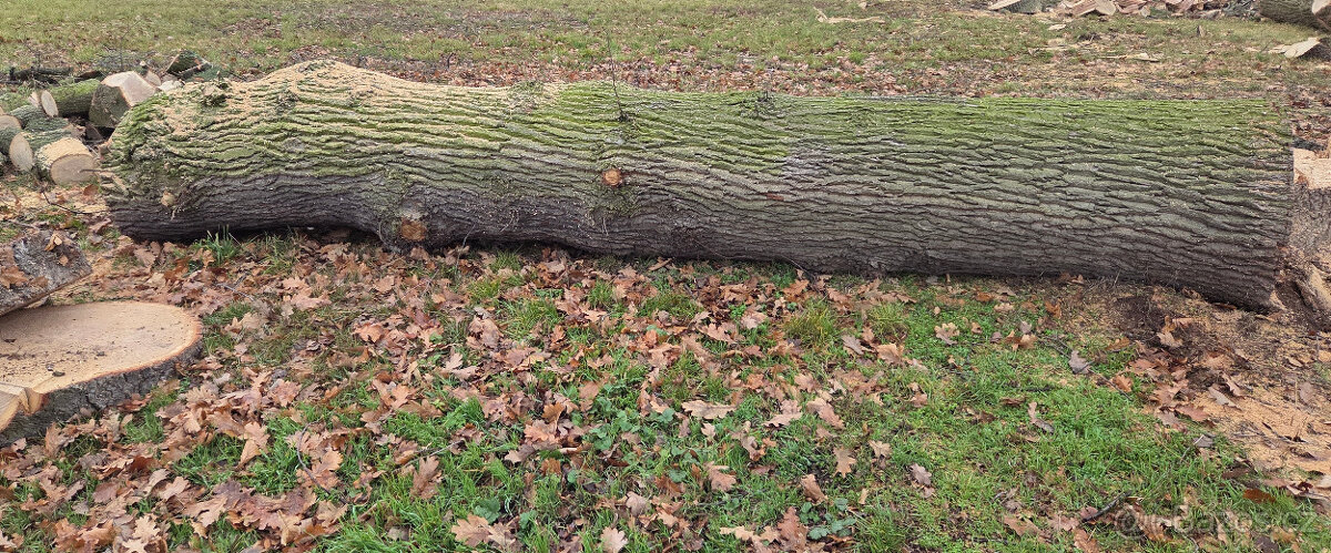 Dubová kulatina - 7