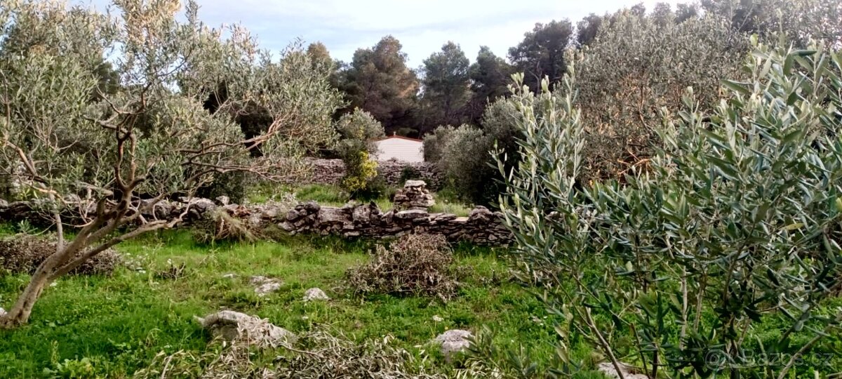 SLEVA / Rozsáhlý pozemek včetně domku / ostrov Šolta - 7