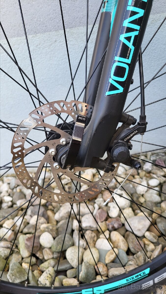 Leader Fox Venosa - 7