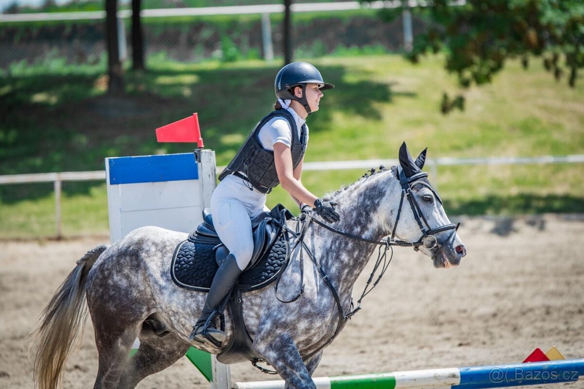 ⭐️ Krásný valášek na prodej ⭐️ - 7