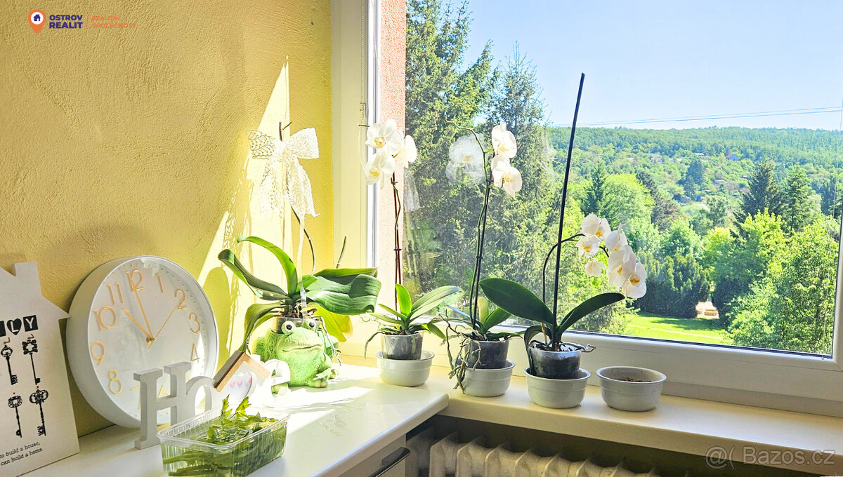 Prodej, Byt 2+1 s dvěma balkony, 66 m2, Brno - Řečkovice - 7