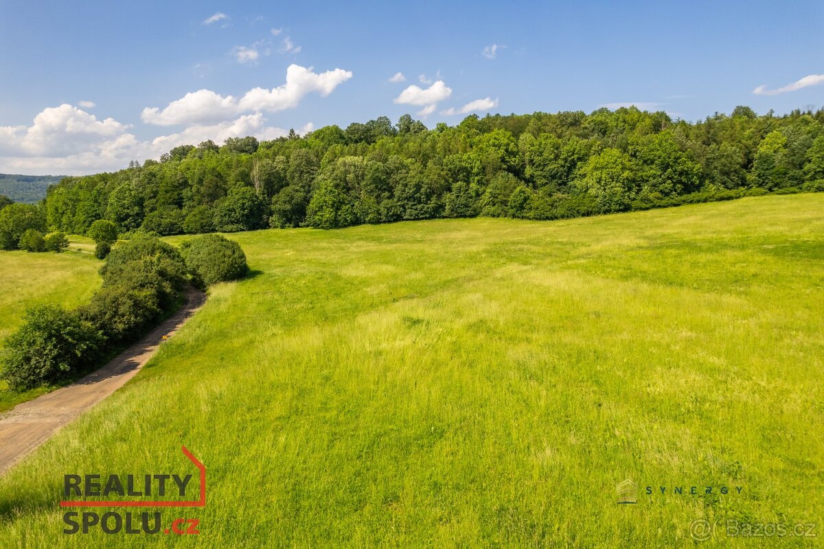 Prodej, pozemky/louka, 28000 m2, Františkov nad Ploučnicí, D - 7
