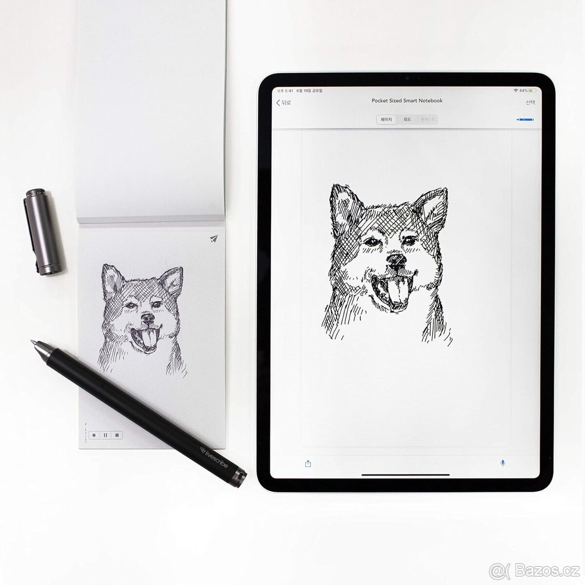 Livescribe Aegir Smartpen, černá edice Professional - 7