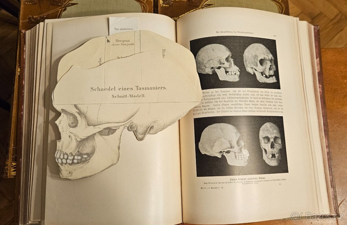 Weltall und Menschheit I-V - 7