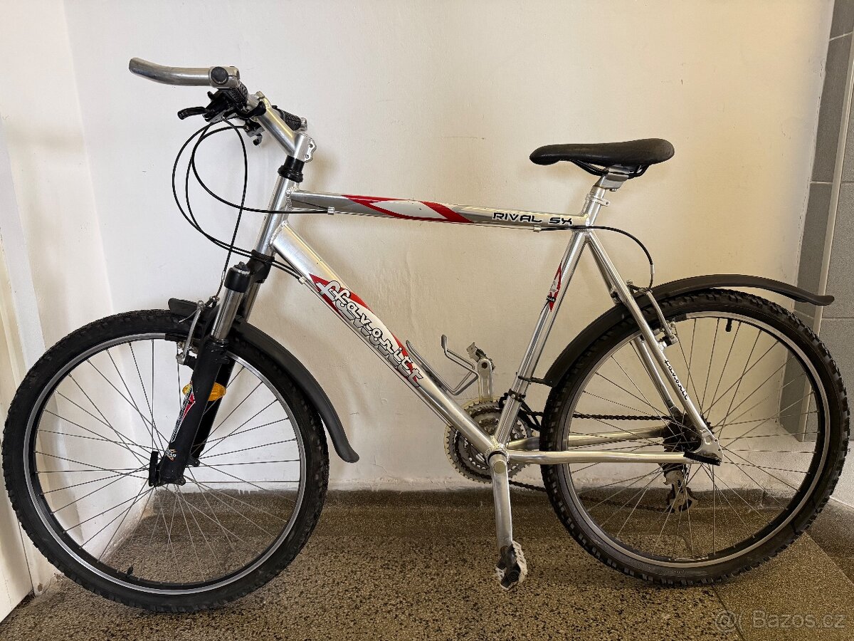 Favorit Rival SX - 7